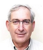 Доктор Хаим Столович