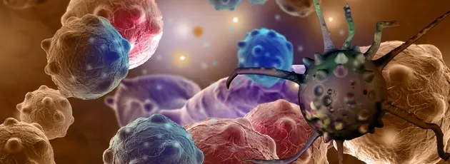 Cancer treatment in Israel