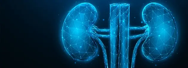 Urology in Israel