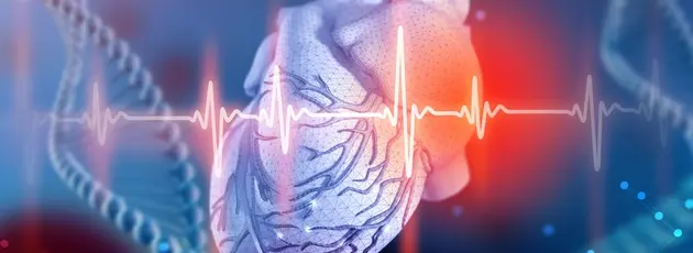 cardiology in Israel