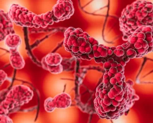 Новая комбинация препаратов против устойчивой к лечению миеломы